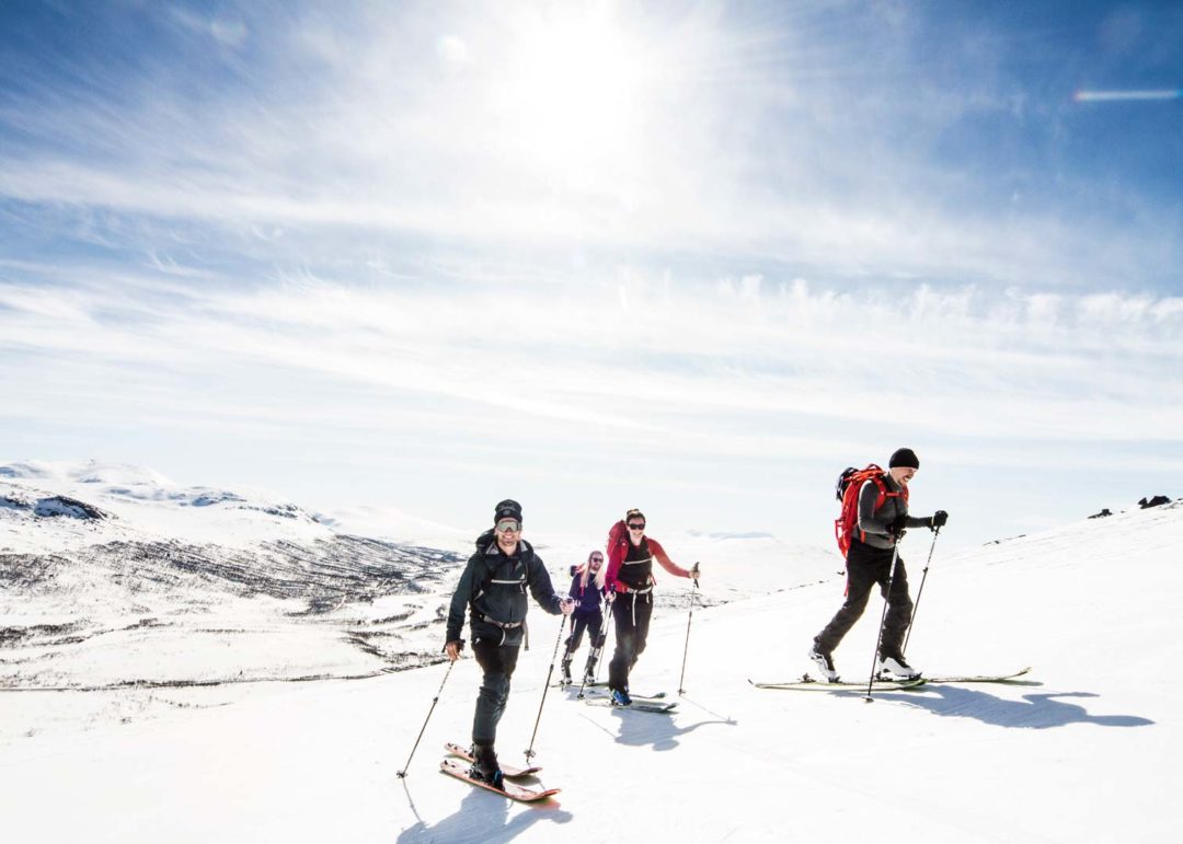 Book a ski tour in Åre